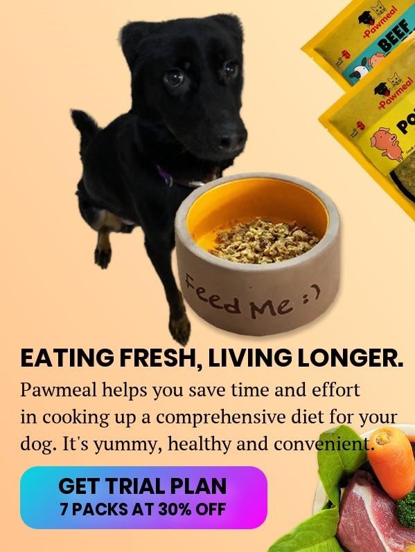 Pawmeal Fresh Food for Picky Dogs
